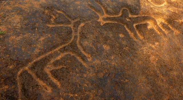 20130426_goa_Usgalimal_header