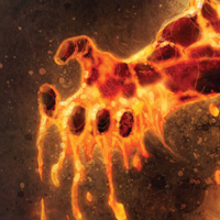 Gniew Żywiołów (Wrath of the Elements) - karty do polskiej wersji