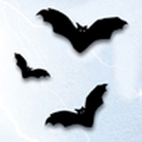 Dobre i Złe Duchy - instrukcja w j. polskim